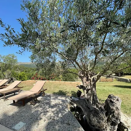 Guillo Villa Pollença