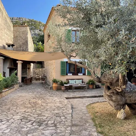 Guillo Villa Pollença