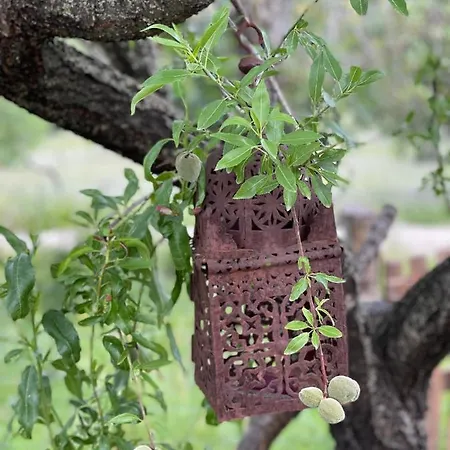 Guillo Villa Pollença