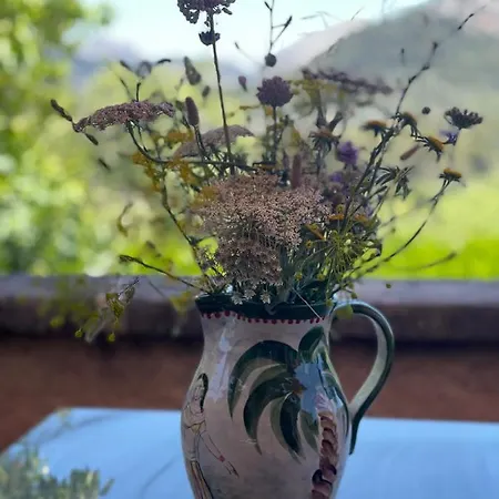 Guillo Villa Pollença