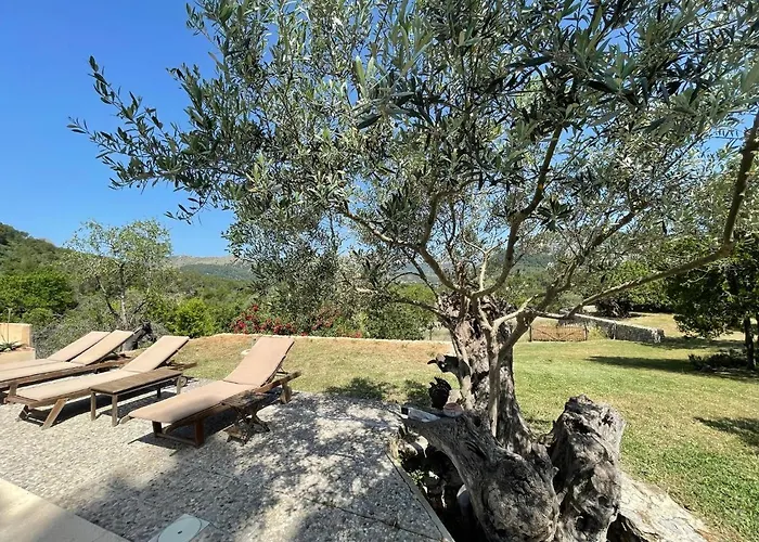 Guillo Villa Pollença