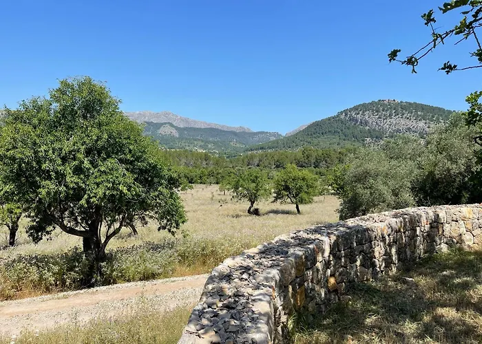 Guillo Villa Pollença