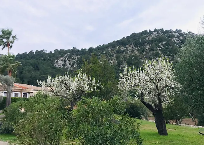 Guillo Villa Pollença