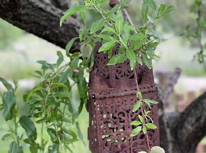 Guillo Villa Pollença