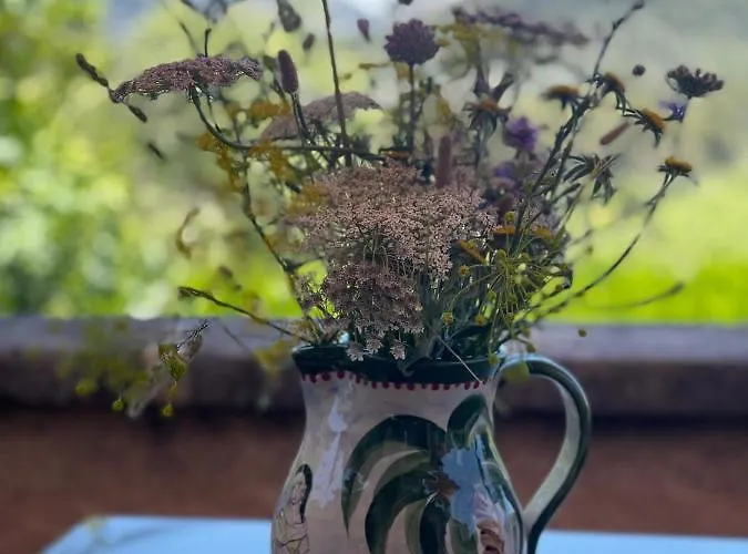 Guillo Villa Pollença