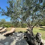 Guillo Villa Pollença